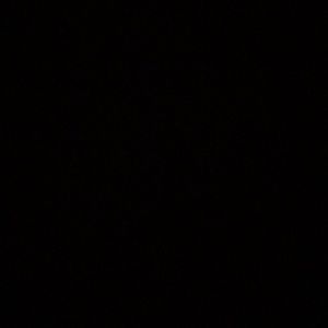 Meet your Posher, Noah